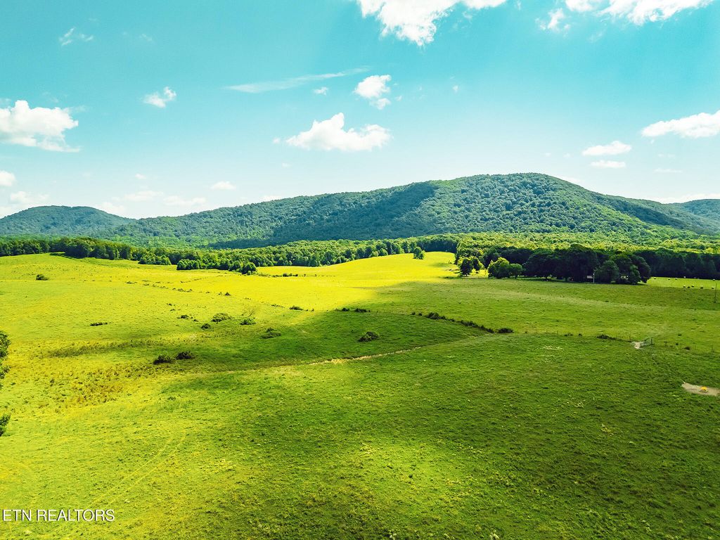 Photo of White Oak Circle, Sunbright, TN 37872 (MLS # 1307922)