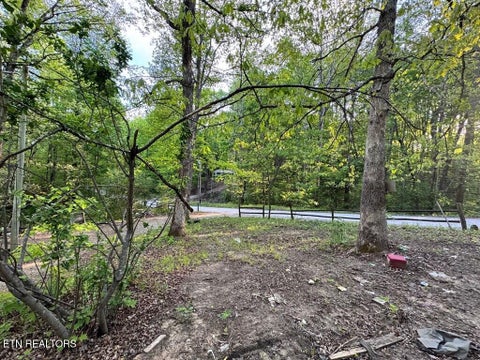 Tiny photo for 765 Sleepy Hollow Rd, Jamestown, TN 38556 (MLS # 1355534)