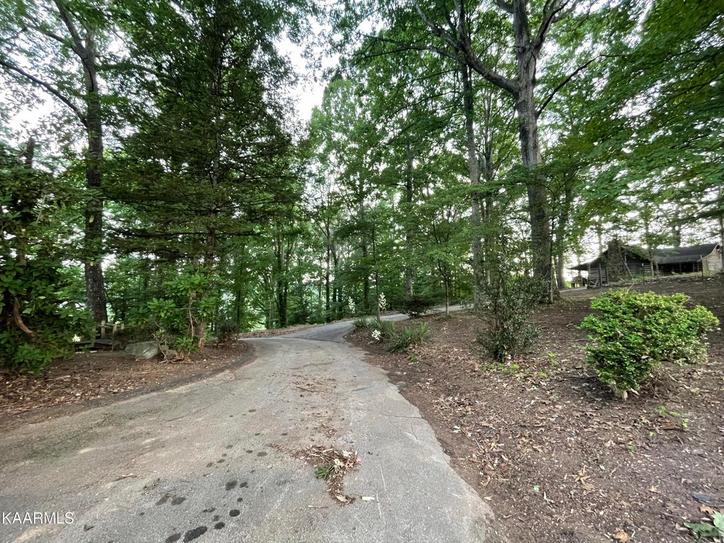 Photo of 181 Orchard Lane, Tazewell, TN 37879 (MLS # 1230718)