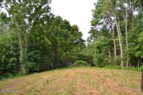 Tiny photo for 2390 Pea Ridge Fire Tower Rd, Celina, TN 38551 (MLS # 1355055)