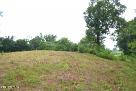 Tiny photo for 2390 Pea Ridge Fire Tower Rd, Celina, TN 38551 (MLS # 1355055)