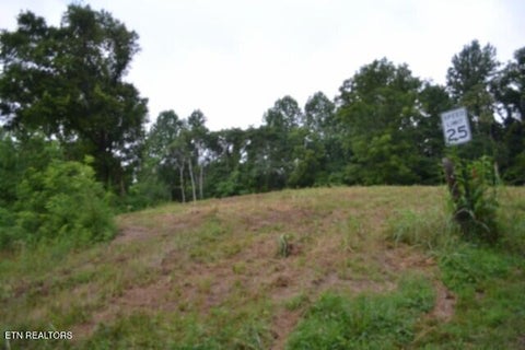 Tiny photo for 2390 Pea Ridge Fire Tower Rd, Celina, TN 38551 (MLS # 1355055)