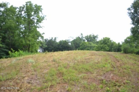 Tiny photo for 2390 Pea Ridge Fire Tower Rd, Celina, TN 38551 (MLS # 1355055)