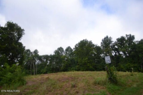 Tiny photo for 2390 Pea Ridge Fire Tower Rd, Celina, TN 38551 (MLS # 1355055)
