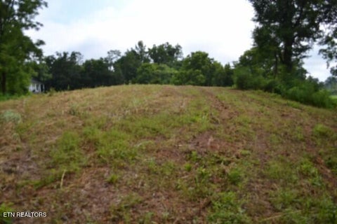 Tiny photo for 2390 Pea Ridge Fire Tower Rd, Celina, TN 38551 (MLS # 1355055)