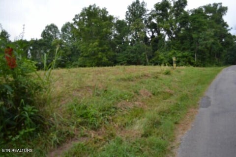 Tiny photo for 2390 Pea Ridge Fire Tower Rd, Celina, TN 38551 (MLS # 1355055)