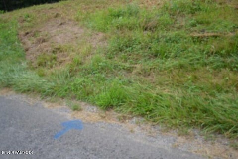 Tiny photo for 2390 Pea Ridge Fire Tower Rd, Celina, TN 38551 (MLS # 1355055)
