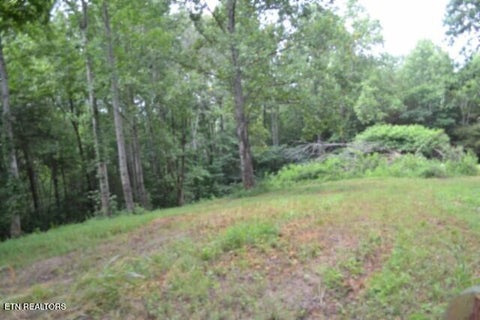 Tiny photo for 2390 Pea Ridge Fire Tower Rd, Celina, TN 38551 (MLS # 1355055)