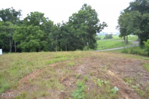 Tiny photo for 2390 Pea Ridge Fire Tower Rd, Celina, TN 38551 (MLS # 1355055)