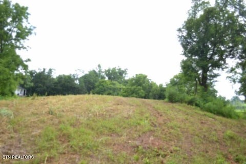 Tiny photo for 2390 Pea Ridge Fire Tower Rd, Celina, TN 38551 (MLS # 1355055)