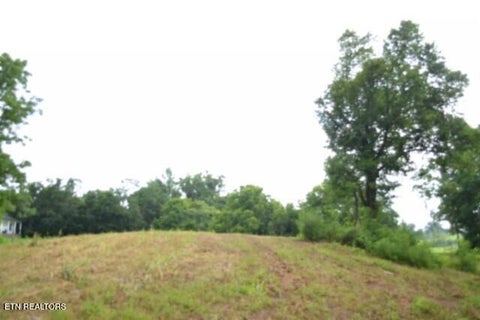 Tiny photo for 2390 Pea Ridge Fire Tower Rd, Celina, TN 38551 (MLS # 1355055)