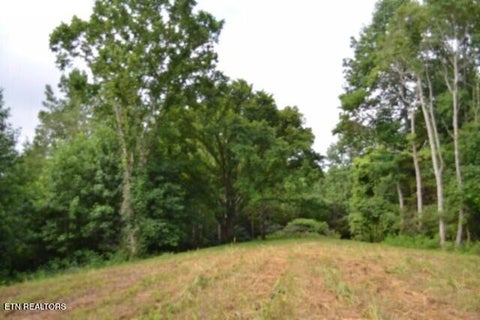Tiny photo for 2390 Pea Ridge Fire Tower Rd, Celina, TN 38551 (MLS # 1355055)
