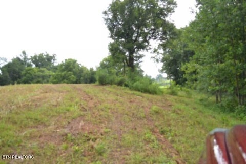 Tiny photo for 2390 Pea Ridge Fire Tower Rd, Celina, TN 38551 (MLS # 1355055)