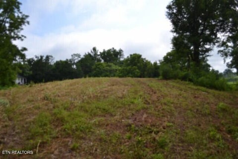 Tiny photo for 2390 Pea Ridge Fire Tower Rd, Celina, TN 38551 (MLS # 1355055)