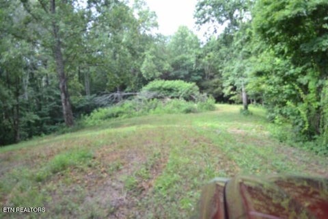 Tiny photo for 2390 Pea Ridge Fire Tower Rd, Celina, TN 38551 (MLS # 1355055)