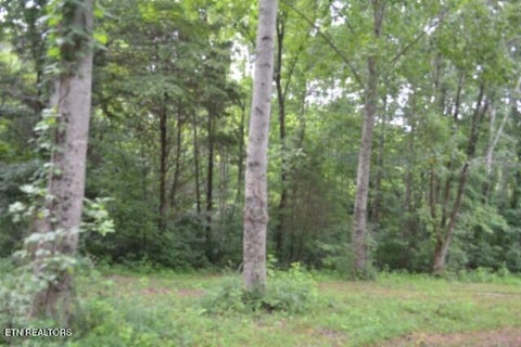 Tiny photo for 2390 Pea Ridge Fire Tower Rd, Celina, TN 38551 (MLS # 1355055)