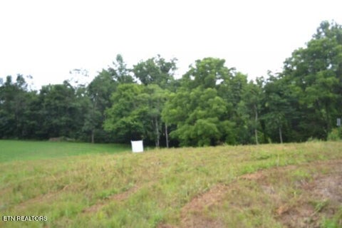 Tiny photo for 2390 Pea Ridge Fire Tower Rd, Celina, TN 38551 (MLS # 1355055)