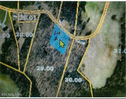 Tiny photo for 2390 Pea Ridge Fire Tower Rd, Celina, TN 38551 (MLS # 1355055)
