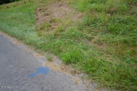 Tiny photo for 2390 Pea Ridge Fire Tower Rd, Celina, TN 38551 (MLS # 1355055)