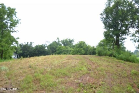 Photo of 2390 Pea Ridge Fire Tower Rd, Celina, TN 38551 (MLS # 1355055)