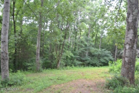 Tiny photo for 2390 Pea Ridge Fire Tower Rd, Celina, TN 38551 (MLS # 1355055)