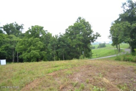 Tiny photo for 2390 Pea Ridge Fire Tower Rd, Celina, TN 38551 (MLS # 1355055)
