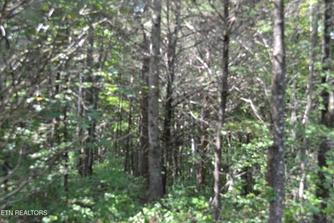Tiny photo for 2390 Pea Ridge Fire Tower Rd, Celina, TN 38551 (MLS # 1355055)