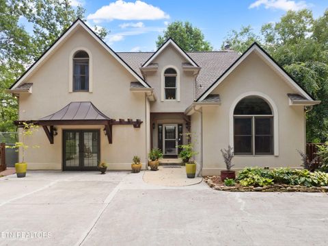 309 E Bullrun Valley Drive Heiskell TN 37754