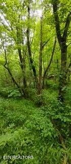 Photo of 966 St. Tide Hollow Road, Newport, TN 37821 (MLS # 1299949)
