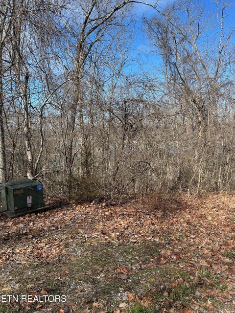 Tiny photo for 344 Larayne Hollow Rd, Sharps Chapel, TN 37866 (MLS # 1331250)