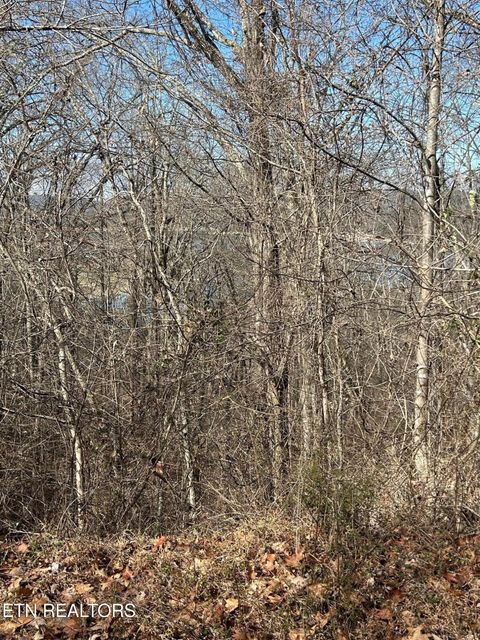 Tiny photo for 344 Larayne Hollow Rd, Sharps Chapel, TN 37866 (MLS # 1331250)