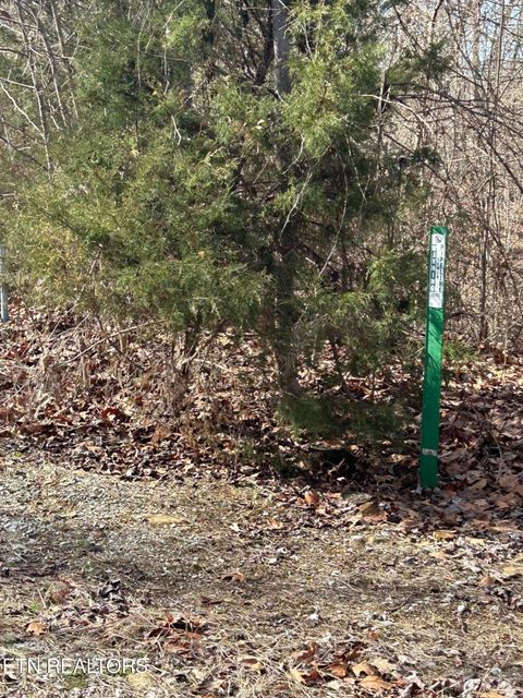 Tiny photo for 344 Larayne Hollow Rd, Sharps Chapel, TN 37866 (MLS # 1331250)