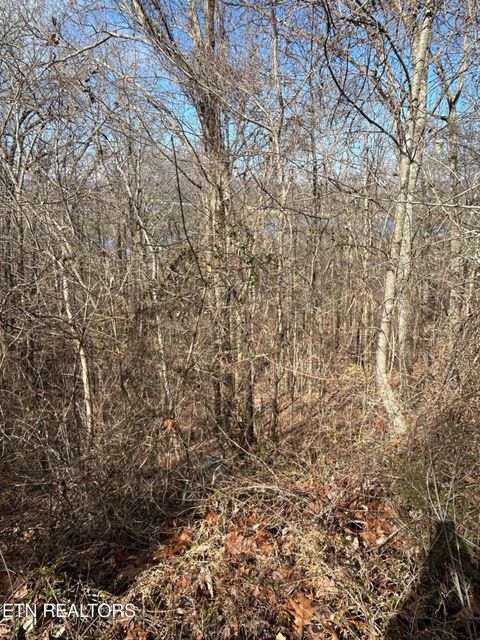 Tiny photo for 344 Larayne Hollow Rd, Sharps Chapel, TN 37866 (MLS # 1331250)