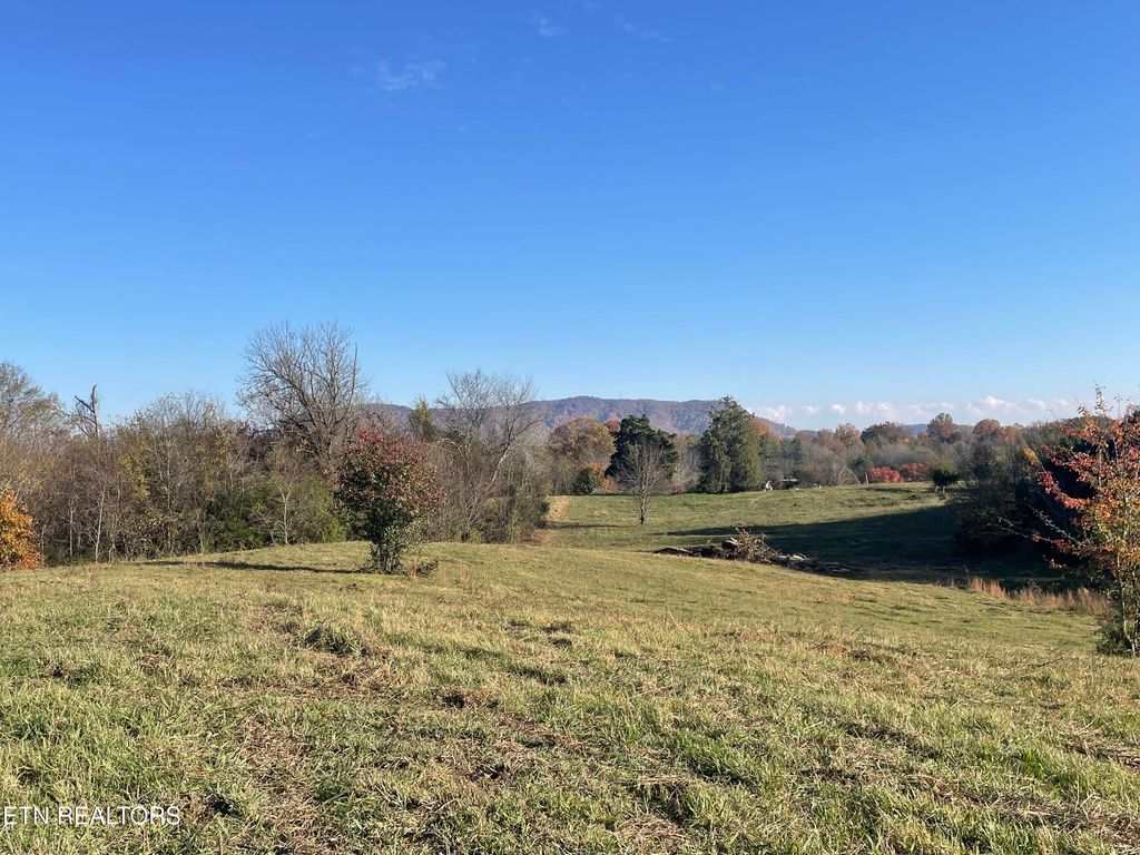 Photo of 0 Rodgers 30 acres Rd, Corryton, TN 37721 (MLS # 1323667)
