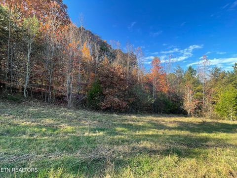 0 Rodgers  30 acres Rd Corryton TN 37721