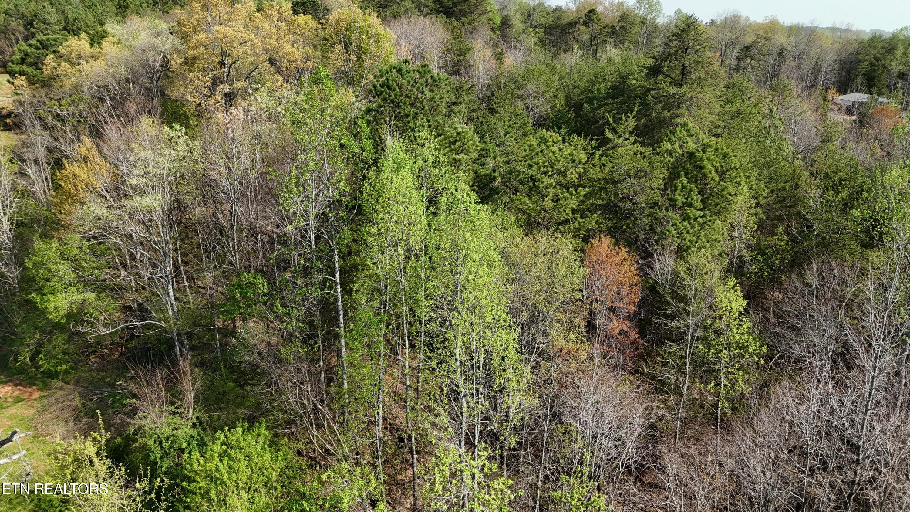 0000 County Road 675