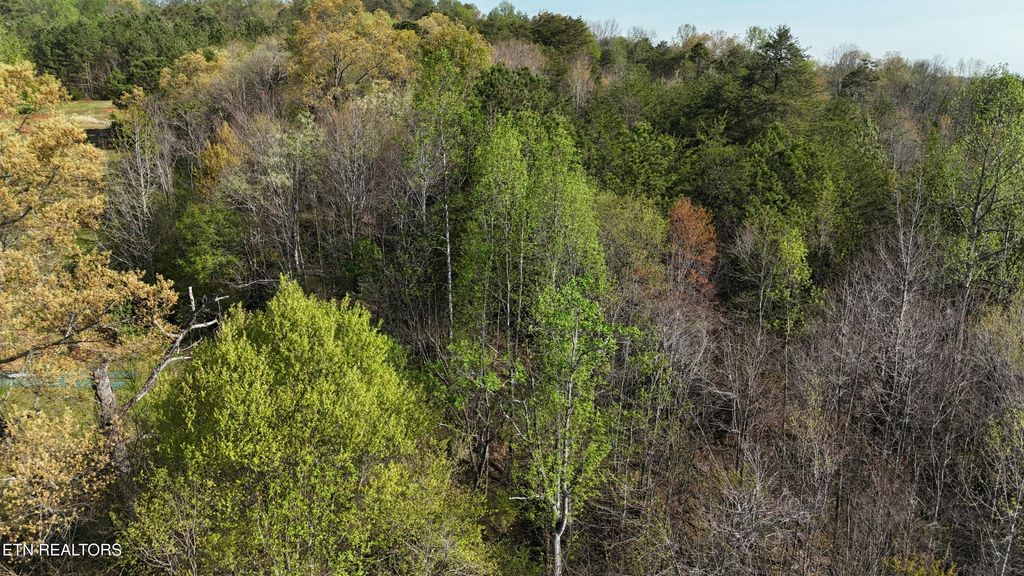 Photo of 0000 County Road 675, Athens, TN 37303 (MLS # 1296880)