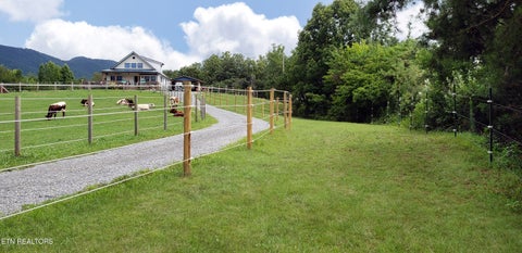 Tiny photo for 170 Price Rd, Rogersville, TN 37857 (MLS # 1357406)