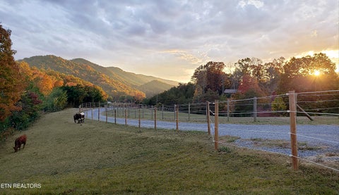 Tiny photo for 170 Price Rd, Rogersville, TN 37857 (MLS # 1357406)