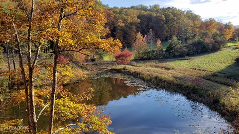 Tiny photo for 170 Price Rd, Rogersville, TN 37857 (MLS # 1357406)