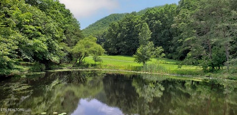 Tiny photo for 170 Price Rd, Rogersville, TN 37857 (MLS # 1357406)