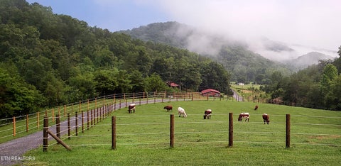 Tiny photo for 170 Price Rd, Rogersville, TN 37857 (MLS # 1357406)