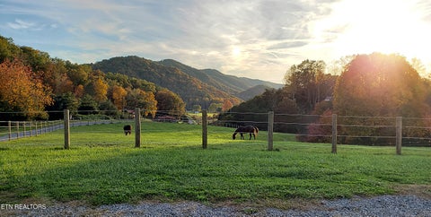 Tiny photo for 170 Price Rd, Rogersville, TN 37857 (MLS # 1357406)