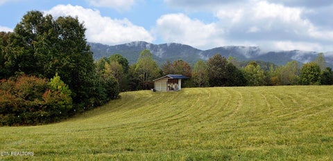 Tiny photo for 170 Price Rd, Rogersville, TN 37857 (MLS # 1357406)