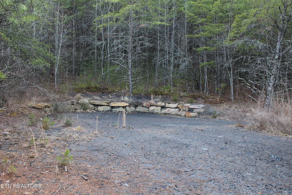 Photo of Davis Creek Tract 1 Rd, Duff, TN 37729 (MLS # 1336596)