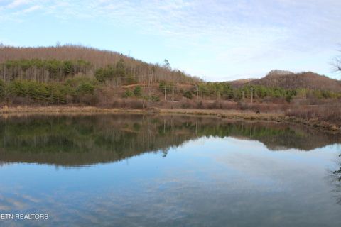 Photo of Davis Creek Tract 1 Rd, Duff, TN 37729 (MLS # 1336596)