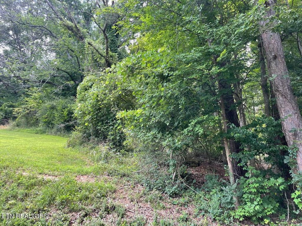 Photo of 64 Riddle St, Dayton, TN 37321 (MLS # 1344680)