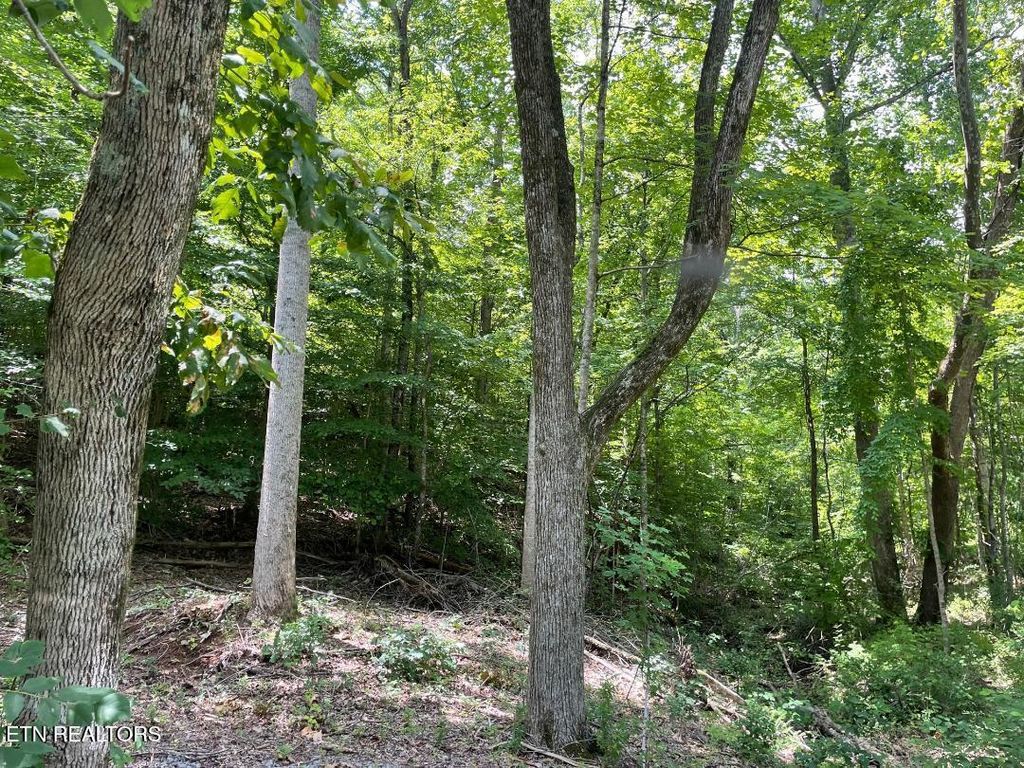 Photo of 64 Riddle St, Dayton, TN 37321 (MLS # 1344680)