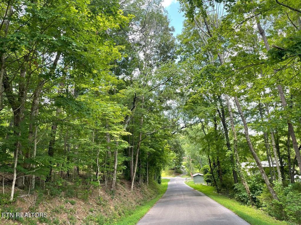 Photo of 64 Riddle St, Dayton, TN 37321 (MLS # 1344680)