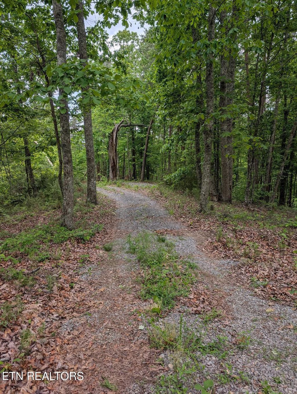 Photo of 2840 Highway 61 W, Andersonville, TN 37705 (MLS # 1339930)